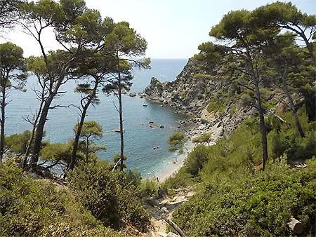 公寓 A 500 Metres Des Plages Et Du Port Du Brusc, Les Terrasses Des Embiez Avec Piscine Et *