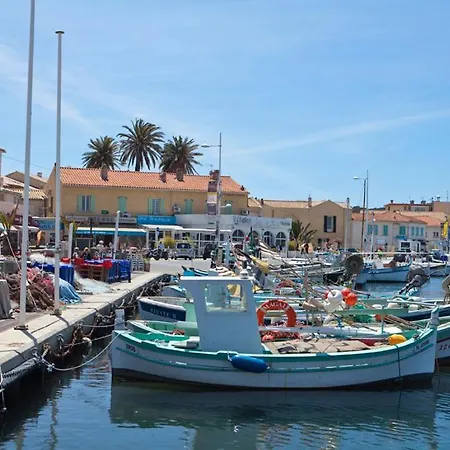 A 500 Metres Des Plages Et Du Port Du Brusc, Les Terrasses Des Embiez Avec Piscine Et 公寓